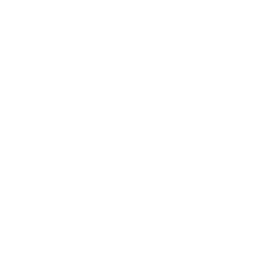 dance icon